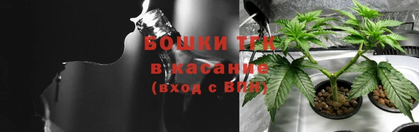 шишки Алексеевка